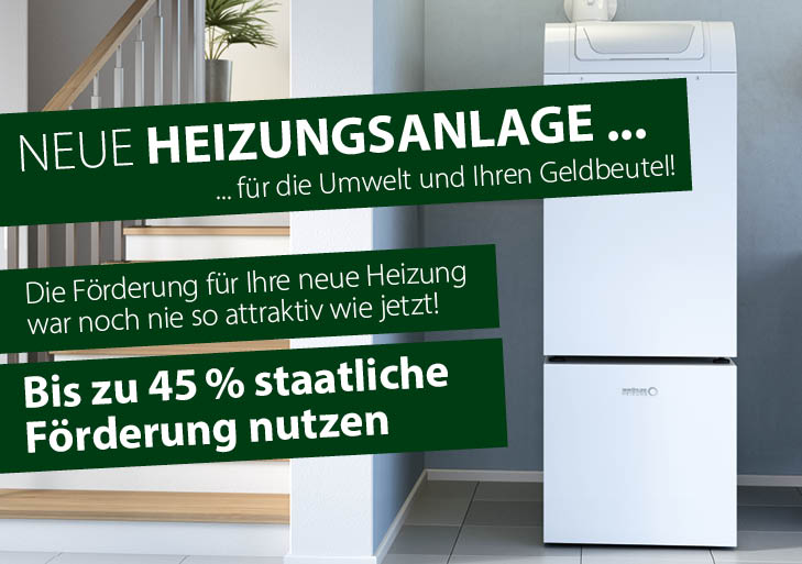 Foerderung_Aktionsfläche4-5